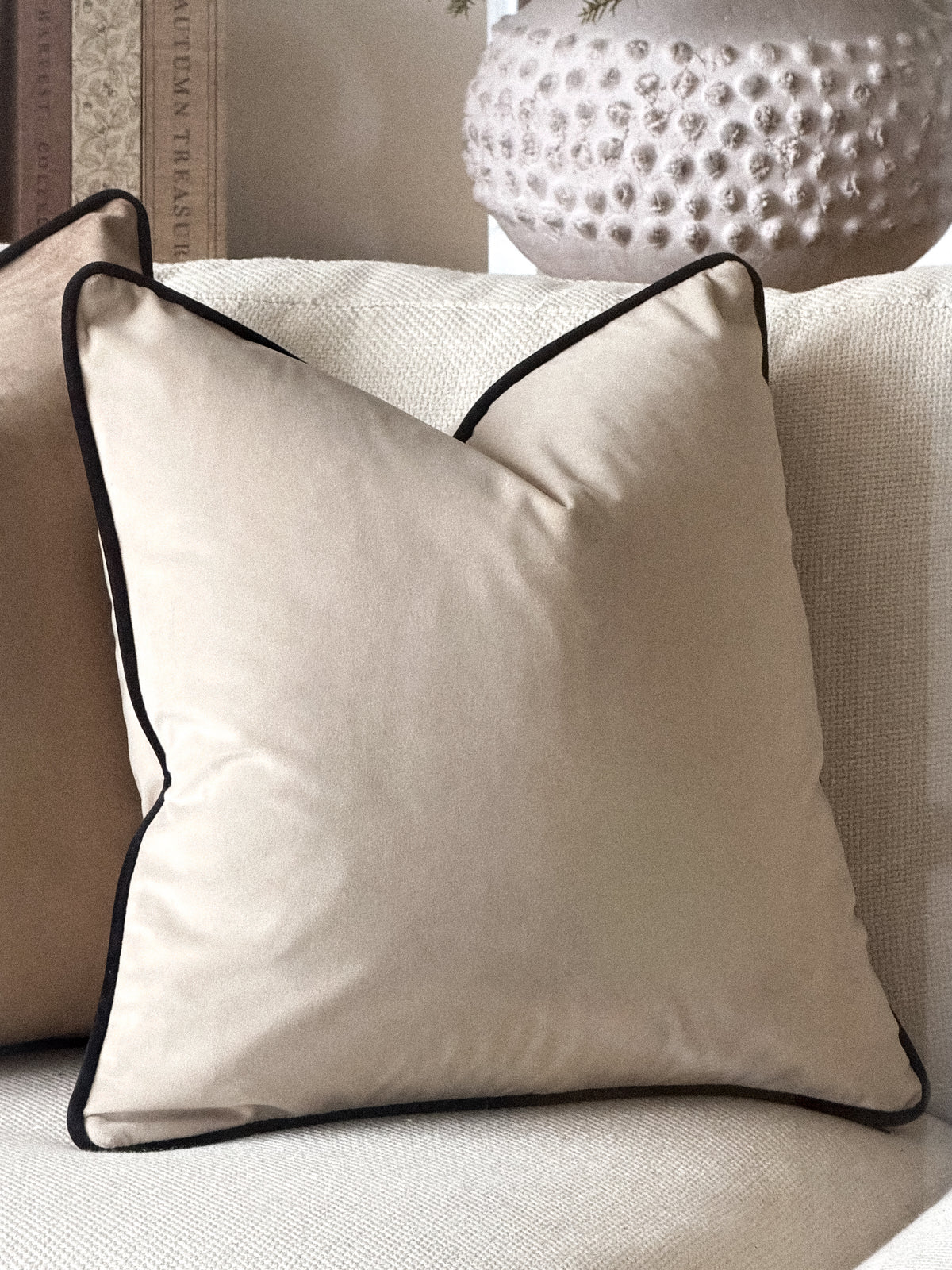 PUTTY VELVET | Piped Cushion
